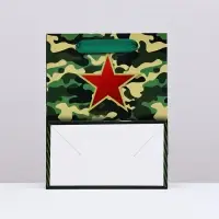 Пакет подарочный ламинированный вертикальный &laquo;23 февраля&raquo;, 18&times;23&times;10 см