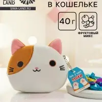 Леденцы &laquo;Той, у кого лапки&raquo; в кошельке, 40 г