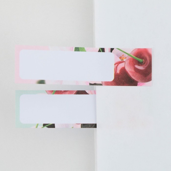 Набор стикеров-закладок &laquo;Лучшему учителю&raquo;, 4 шт., 20 листов