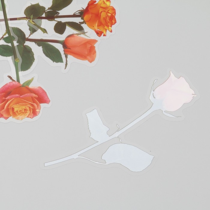 Наклейки пластик Наклейки пластик "Цветы и цитаты. Желто-оранжевые" набор 12 шт 8,5х21,5х0,2 см