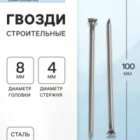 Гвозди ТУНДРА, строительные, ГОСТ 4028-63, без покрытия, 4&times;100 мм, 5 кг