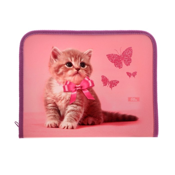 Папка для тетрадей А5, 180 х 230 х 25 мм, молния вокруг, пластиковая 0.5, ПМ-А5-04 Calligrata Папка для тетрадей А5, 180 х 230 х 25 мм, молния вокруг, пластиковая 0.5, ПМ-А5-04 Calligrata