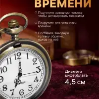 Часы карманные &laquo;Классика&raquo;, кварцевые, цепочка l-40 см, d=4.5 см