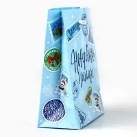 Пакет подарочный новогодний ламинированный «Новогодняя посылка», S 12 х 15 х 5.5 см