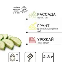 Семена Кабачок цукини &laquo;Зебра&raquo;, 2-3 г, &laquo;Сембат&raquo;