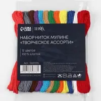 Нитки мулине TEIRA &laquo;Сочный&raquo;, 8&plusmn;1 м, 12 шт., разноцветные
