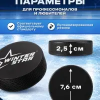 Шайба хоккейная Winter Star, взрослая, d=7.6 см