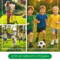Газонная травосмесь &laquo;Гринкипер&raquo; &laquo;Игровая&raquo;, 5 кг