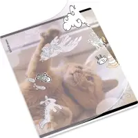 Тетрадь 48 листов в клетку ErichKrause Dream Cat, 60 г/м&sup2;, обложка мелованный картон, МИКС