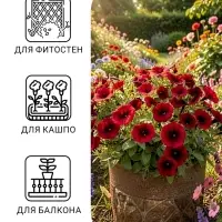 Семена цветов Петуния ампельная &laquo;Шок Вейв Дип Парпл&raquo;, F1, 5 шт., &laquo;ПОИСК&raquo;