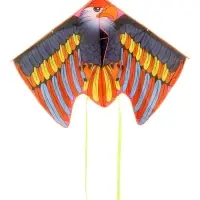 Воздушный змей &laquo;Орёл&raquo;