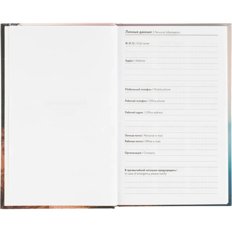 Ежедневник недатированный А5 Дорога 7БЦ, матовый, 128л