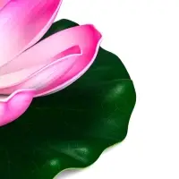 Садовый светильник для водоемов 28 х 28 х 9 см на солнечной бат-е "Лотос" лиловый N009