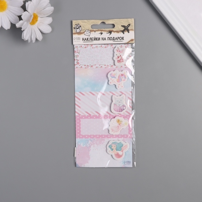 Наклейка с объёмным элементом Наклейка с объёмным элементом "Для девчонок" 7х15,2 см