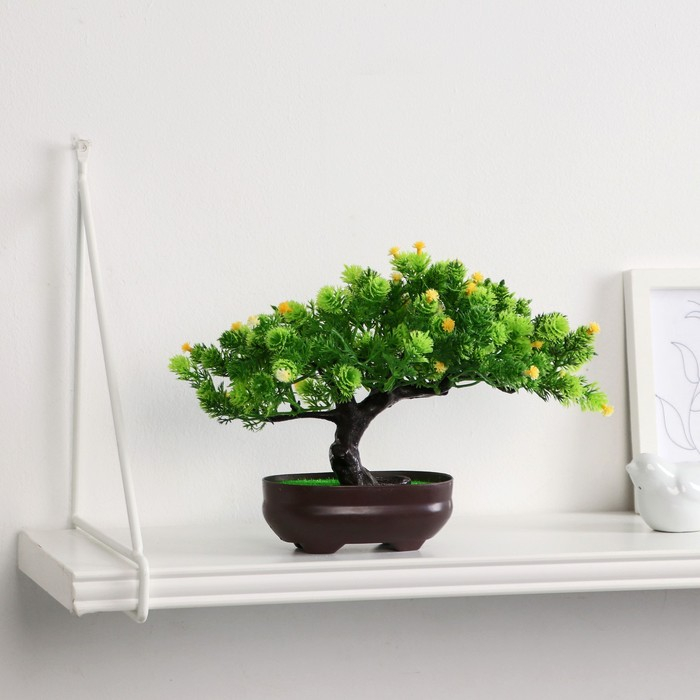 Бонсай в горшке Бонсай в горшке "Деревце изгиб" 12х17 см, микс