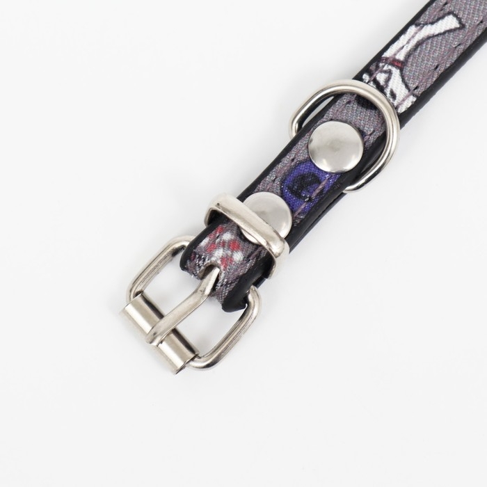 Ошейник с косынкой Ошейник с косынкой "Яркая жизнь", 32 х 1 см, серый