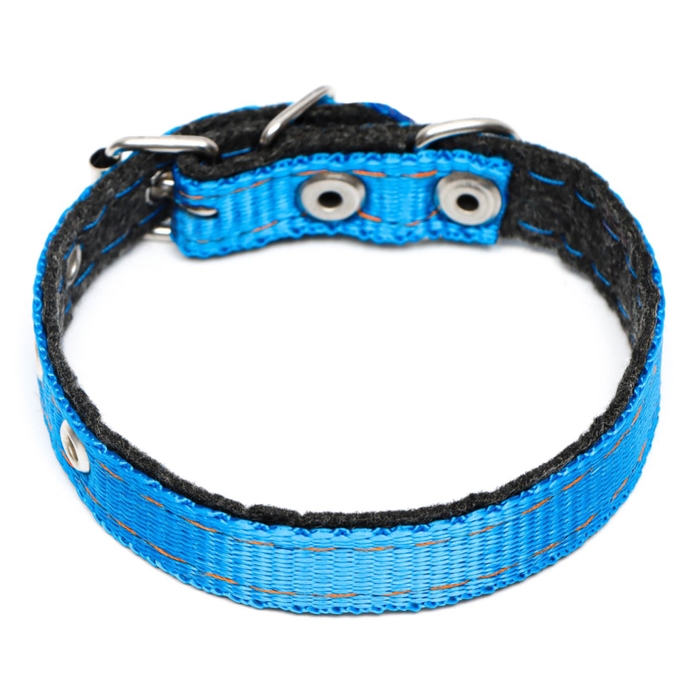 Ошейник капроновый, 30 х 1,2 см, безразмерный, микс цветов Ошейник капроновый, 30 х 1,2 см, безразмерный, микс цветов