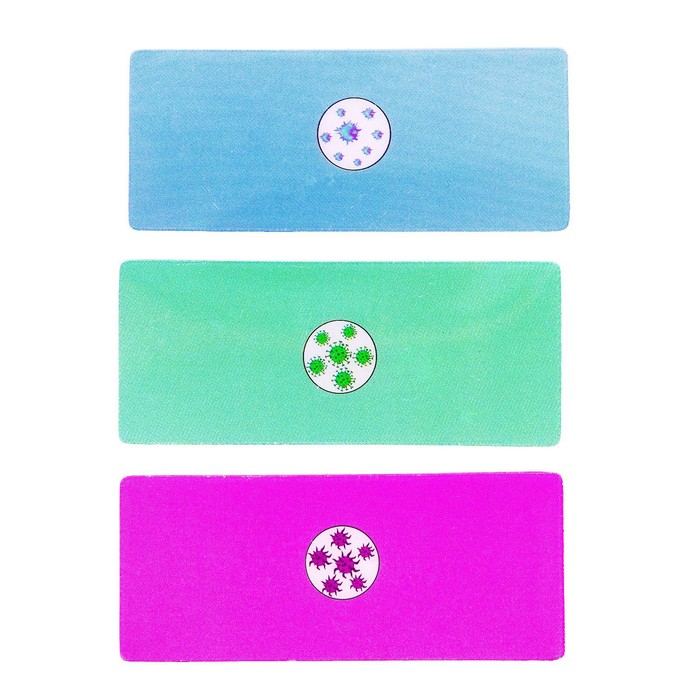 Набор для опытов «Научный набор 2В1», модель тела человека и лабораторная посуда Набор для опытов «Научный набор 2В1», модель тела человека и лабораторная посуда