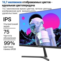 Монитор SANC M2453, 23.8", IPS, 1920×1080, 75Гц, 5 мс, D-Sub, HDMI, чёрный