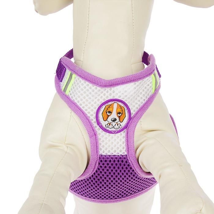 Шлейка регулируемая дышащая, светоотражающая, размер XL (ОШ 48-68; ОГ 58-72 см), фиолетовая Шлейка регулируемая дышащая, светоотражающая, размер XL (ОШ 48-68; ОГ 58-72 см), фиолетовая