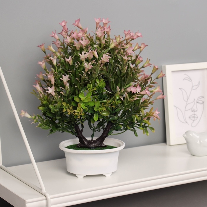 Бонсай в горшке Бонсай в горшке "Лилиана премиум" 25х12 см, микс