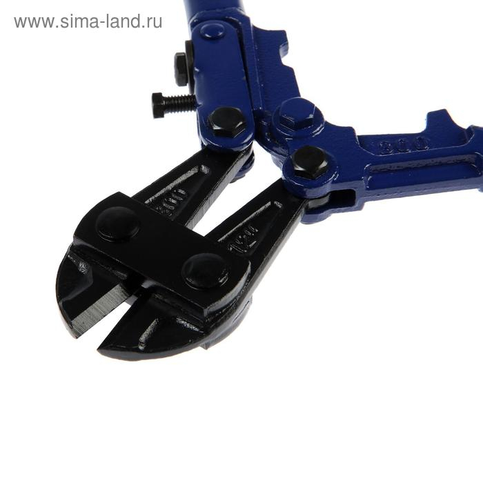 Болторез ТУНДРА, обрезиненные рукоятки, болты до 4 мм, проволока до 5 мм, 300 мм Болторез ТУНДРА, обрезиненные рукоятки, болты до 4 мм, проволока до 5 мм, 300 мм