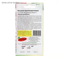 Семена цветов Петуния крупноцветковая Сан Ремо Кружевница F1, О, 10 шт