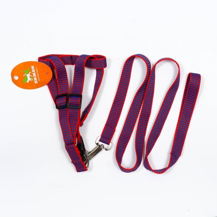 Комплект амуниции рельефный, 2 см, поводок 120 см, красно-синий Комплект амуниции рельефный, 2 см, поводок 120 см, красно-синий