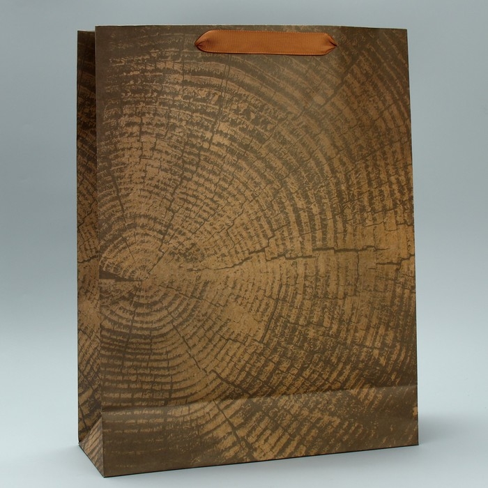 Пакет подарочный крафтовый вертикальный, упаковка, «Нереальных высот», L 31 х 40 х 9 см Пакет подарочный крафтовый вертикальный, упаковка, «Нереальных высот», L 31 х 40 х 9 см