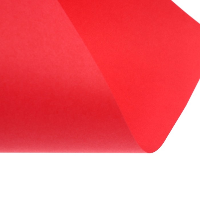 Бумага цветная А4 250л Calligrata Пастель + интенсив МИКС 10цв 80г/м2, АМБАЛАЖ Бумага цветная А4 250л Calligrata Пастель + интенсив МИКС 10цв 80г/м2, АМБАЛАЖ