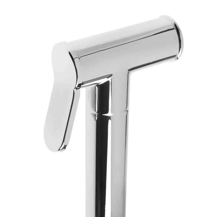 Гигиеническая лейка ZEIN Z4163, 1 режим, цинк, цвет черный Гигиеническая лейка ZEIN Z4163, 1 режим, цинк, цвет черный