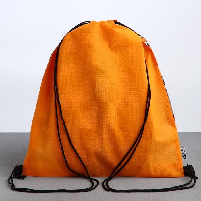 Мешок для обуви «Котики» с прозрачным окном 30 х 40 см Мешок для обуви «Котики» с прозрачным окном 30 х 40 см