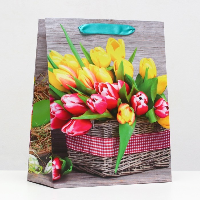 Пакет ламинированный, 26 x 32 x 12 см Пакет ламинированный, 26 x 32 x 12 см