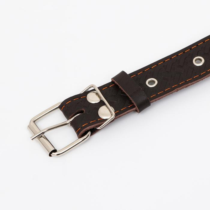 Ошейник кожаный усиленный капроном с полукольцом, 62 х 3,5 см, ОШ 33-60 см, коричневый Ошейник кожаный усиленный капроном с полукольцом, 62 х 3,5 см, ОШ 33-60 см, коричневый