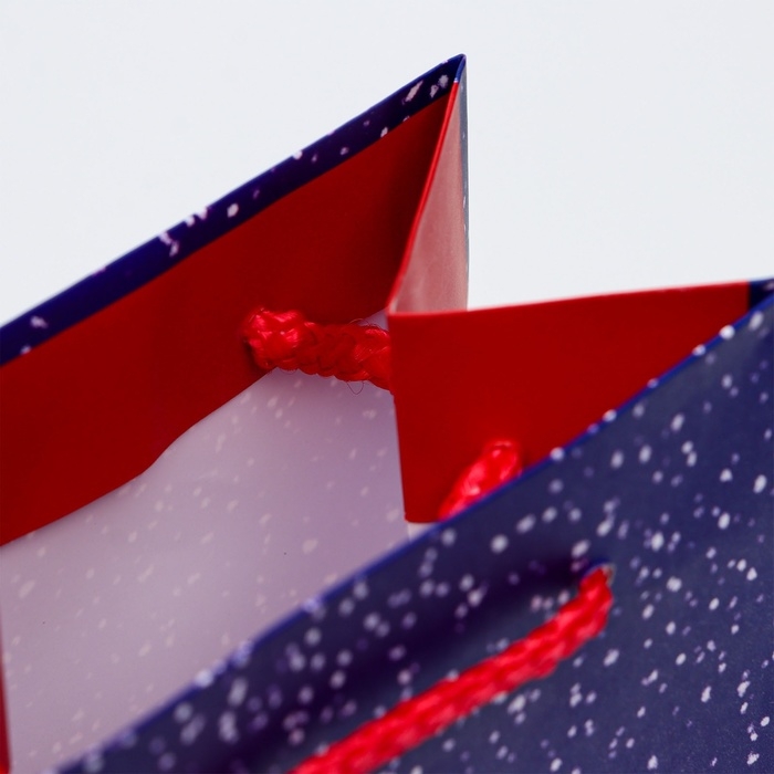 Новый год. Пакет подарочный новогодний под бутылку, упаковка  Новый год. Пакет подарочный новогодний под бутылку, упаковка "Праздник в городе", 12 х 36 х 8,5 см.