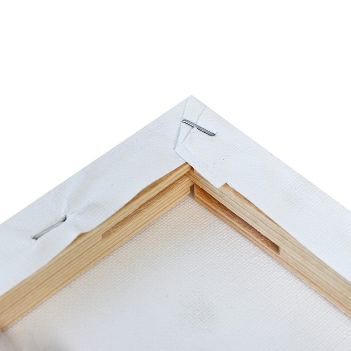 Набор холстов на подрамнике, 4 штуки, хлопок 100%, размер (25х25, 30х40, 40х50, 50х60 см), акриловый грунт, мелкозернистый, 280 г/м² Набор холстов на подрамнике, 4 штуки, хлопок 100%, размер (25х25, 30х40, 40х50, 50х60 см), акриловый грунт, мелкозернистый, 280 г/м²