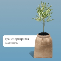 Мешок джутовый, 50 × 69 см, плотность 260 г/м², плетение 46 × 34 нити, с завязками