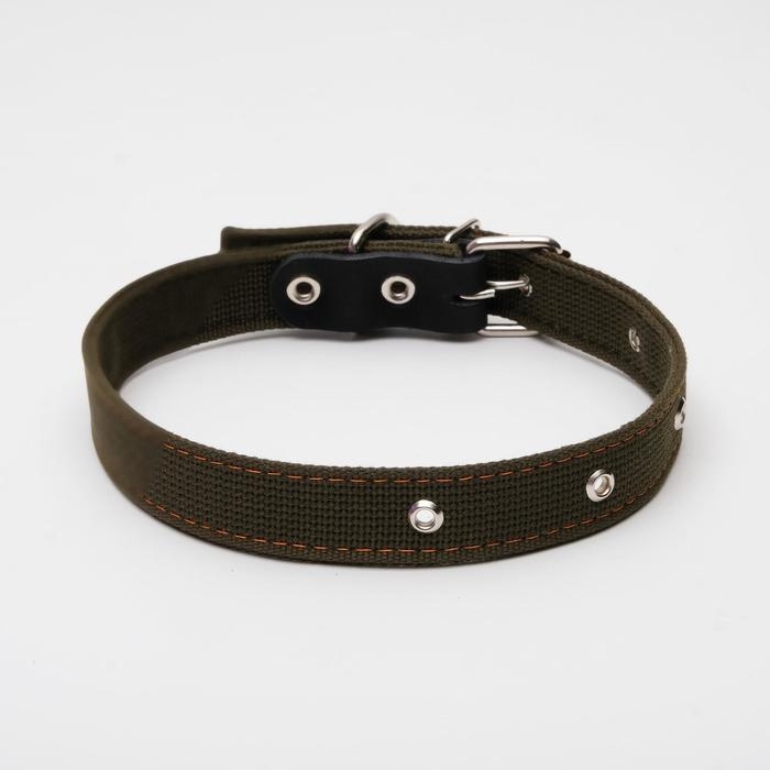 Ошейник брезентовый двухслойный, 62 х 3 см, ОШ 30-55 см, тёмно-зелёный Ошейник брезентовый двухслойный, 62 х 3 см, ОШ 30-55 см, тёмно-зелёный