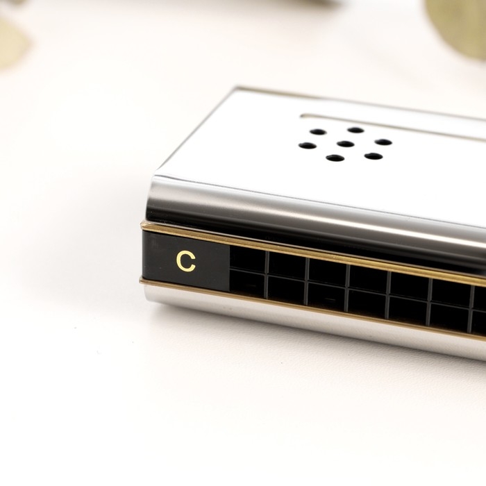 Губная гармошка Music Life T16-2 тремоло, с футляром Губная гармошка Music Life T16-2 тремоло, с футляром