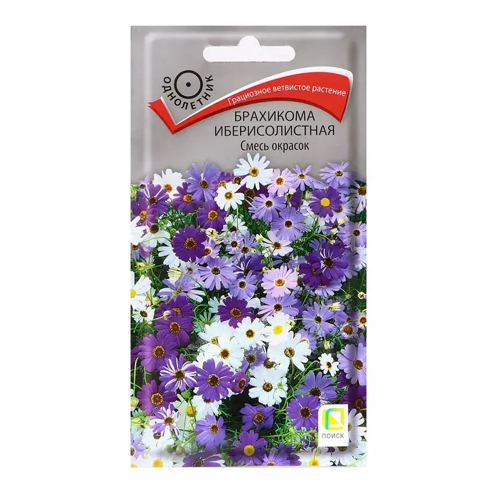 Семена цветов Брахикома Семена цветов Брахикома "Иберисолистная", Смесь окрасок, 0,03гр.