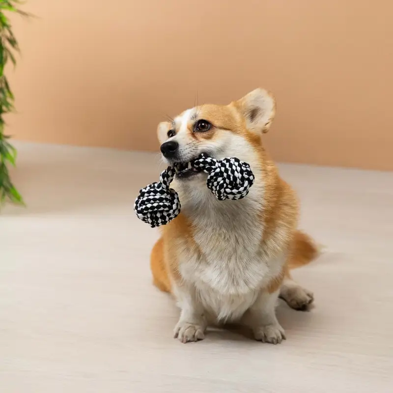 VETTA Игрушка для домашних животных, ПЭ, 27х7 см