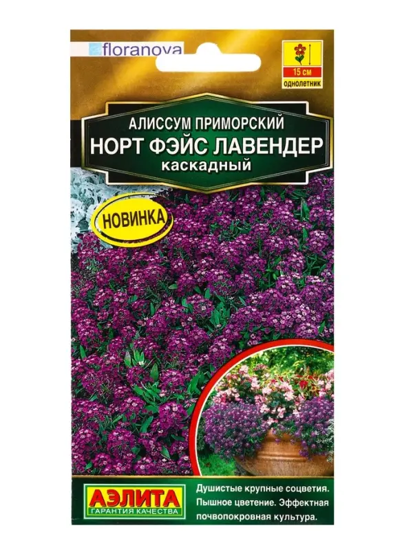 Семена цветов Алиссум Норт фэйс лавендер каскадный С. Floranova Золотая серия, Ц/П,10 шт. Семена цветов Алиссум Норт фэйс лавендер каскадный С. Floranova Золотая серия, Ц/П,10 шт.