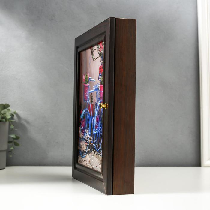 Ключница Ключница "Синий велик" венге 26х31 см МИКС