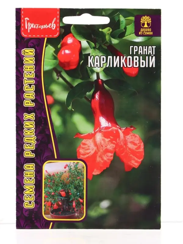 Семена цветов Гранат Карликовый 5шт.   12.29 г.