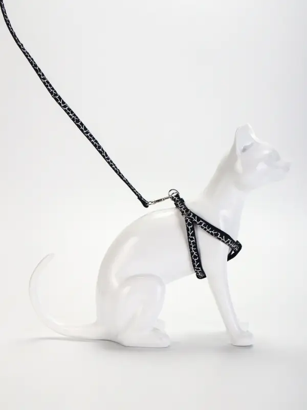 Шлейка с поводком &laquo;Жираф&raquo;, ширина 1 см, поводок 120 см, шлейка 23-35 см, чёрная, белая