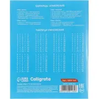Тетрадь 18 листов в клетку Calligrata KIDS, блок офсет, 5 В МИКС