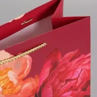 Пакет подарочный "Яркий акцент" ламинированный 26 х 12 х 32 см