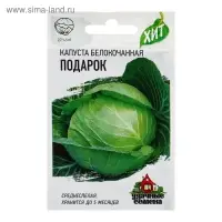 Семена Капуста белокочанная "Подарок" для квашения, 0,1 г  серия ХИТ х3