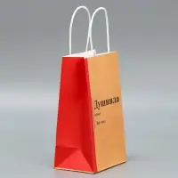 Пакет подарочный крафтовый, упаковка, «Душнила», 12 х 21 х 9 см