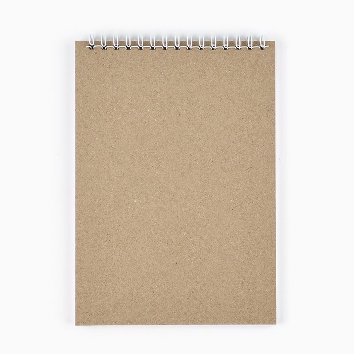 Новый год. Скетчбук А5 40 л в тонкой обл на гребне 100г/м2 «Волшебных моментов в Новом году»